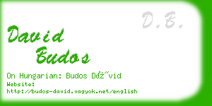 david budos business card